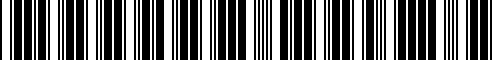 Barcode for 11121341873